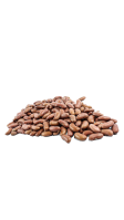Bean beans