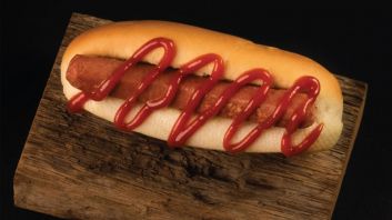 Plain hot dog with ketchup