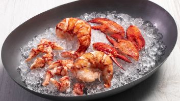 Premium Cooked Lobster Meat 