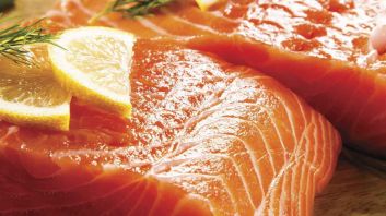 Norwegian Skinless Salmon Fillet Portions 