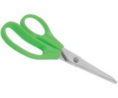 Medium Size Scissors